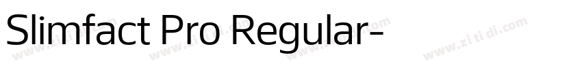 Slimfact Pro Regular字体转换